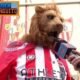 El Leon Belga Del Athletic Conquista Sevilla Con Su Alegria Y Buen Rollo