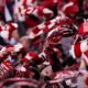 San Mames Se Prepara Para Rugir En El Duelo Del Athletic Contra La Roma