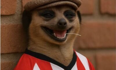 Memes Arremeten Contra El Barcelona Por Renovacion De Nico Williams