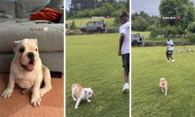 Nico Williams Comparte Su Felicidad Tras Renovar Con El Athletic