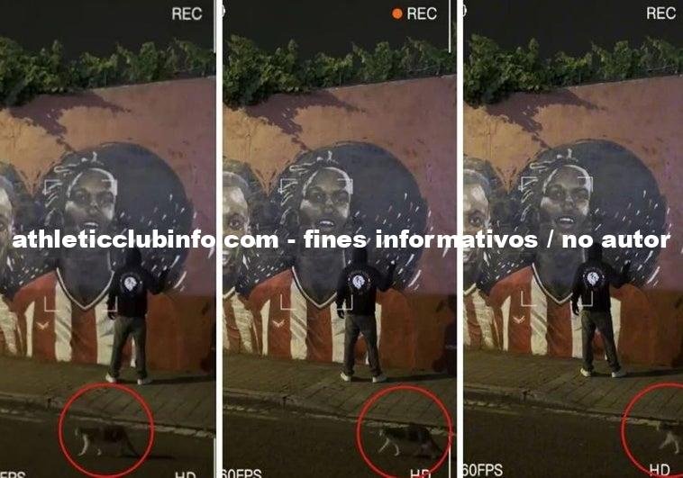 Nico Williams De Gato Callejero A Estrella Del Athletic En Emocionante Video