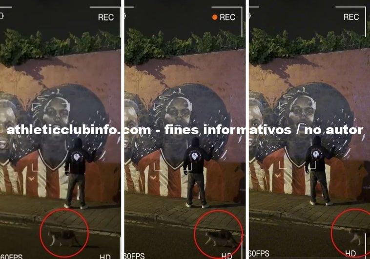 Un Gato Sorprende En El Video De Renovacion De Nico Williams Por El Athletic